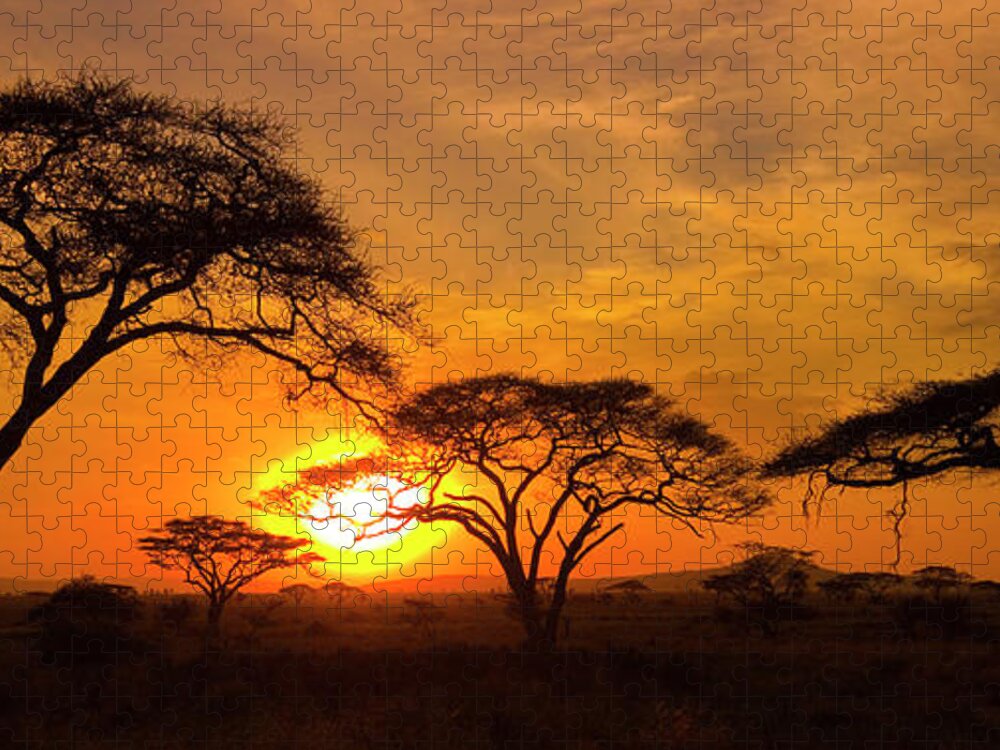 Scenics Jigsaw Puzzle featuring the photograph Sunset In The Serengeti by Mb Photography