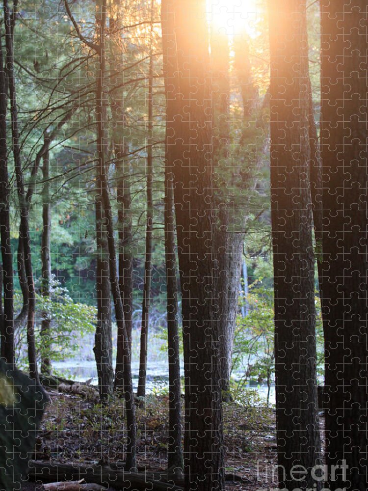 Sunset Jigsaw Puzzle featuring the photograph Sunset in the Woods by Jayne Carney