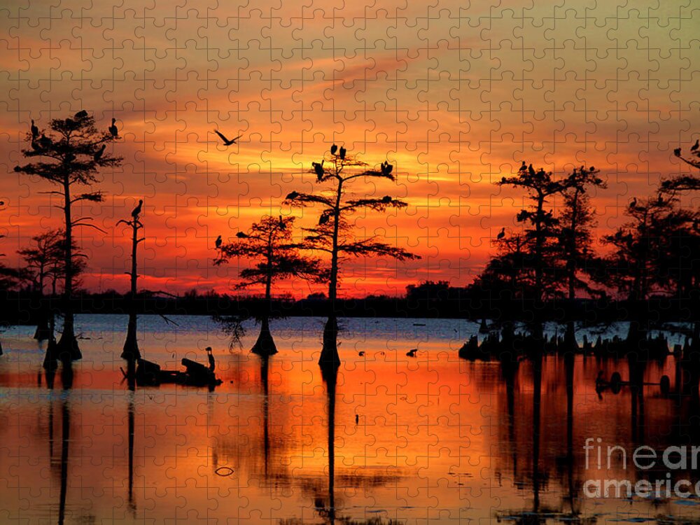Everglades Jigsaw Puzzle featuring the photograph Sunset on the Bayou by Carey Chen