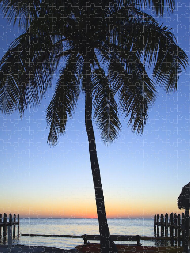 Bayshore Jigsaw Puzzle featuring the photograph Sunset Palm by Raul Rodriguez