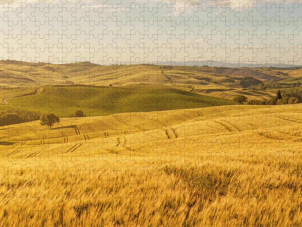 Scenics Jigsaw Puzzle featuring the photograph Sunset Tuscany Landscape by Focusstock