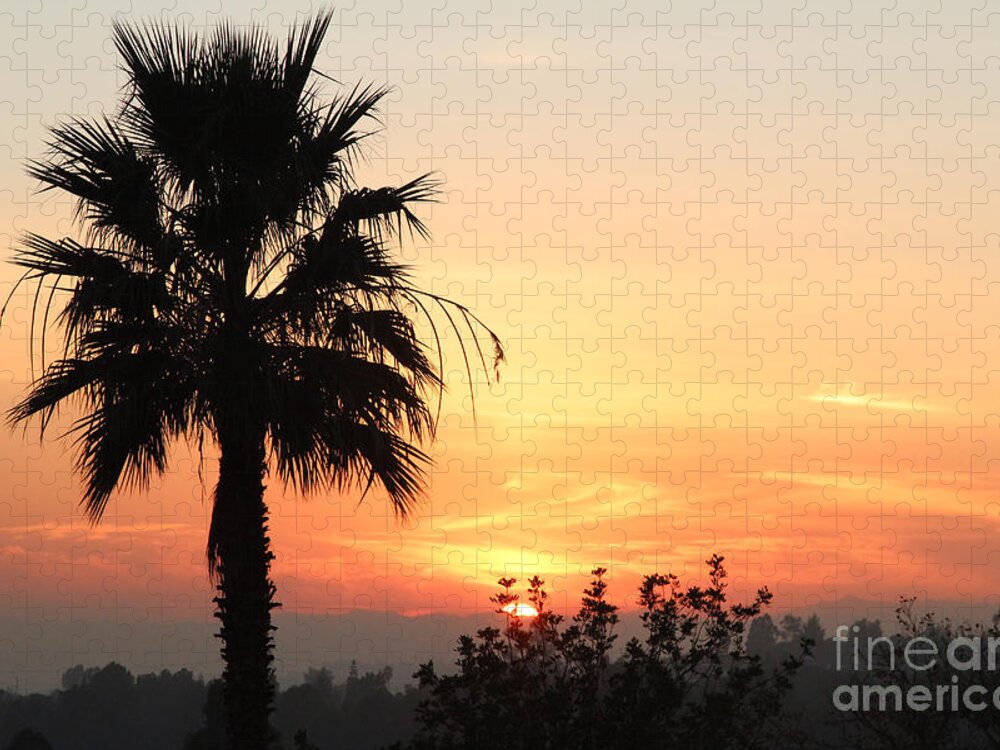 Sunset With Palm Tree Silhouette - Silhouette Jigsaw Puzzle featuring the photograph Sunset with Palm Tree Silhouette by Nina Prommer