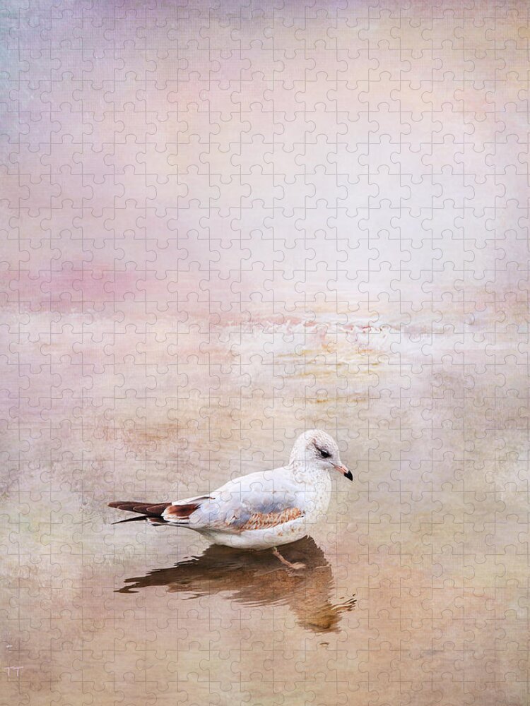 Sunset Jigsaw Puzzle featuring the photograph Sunset With Young Seagull by Theresa Tahara