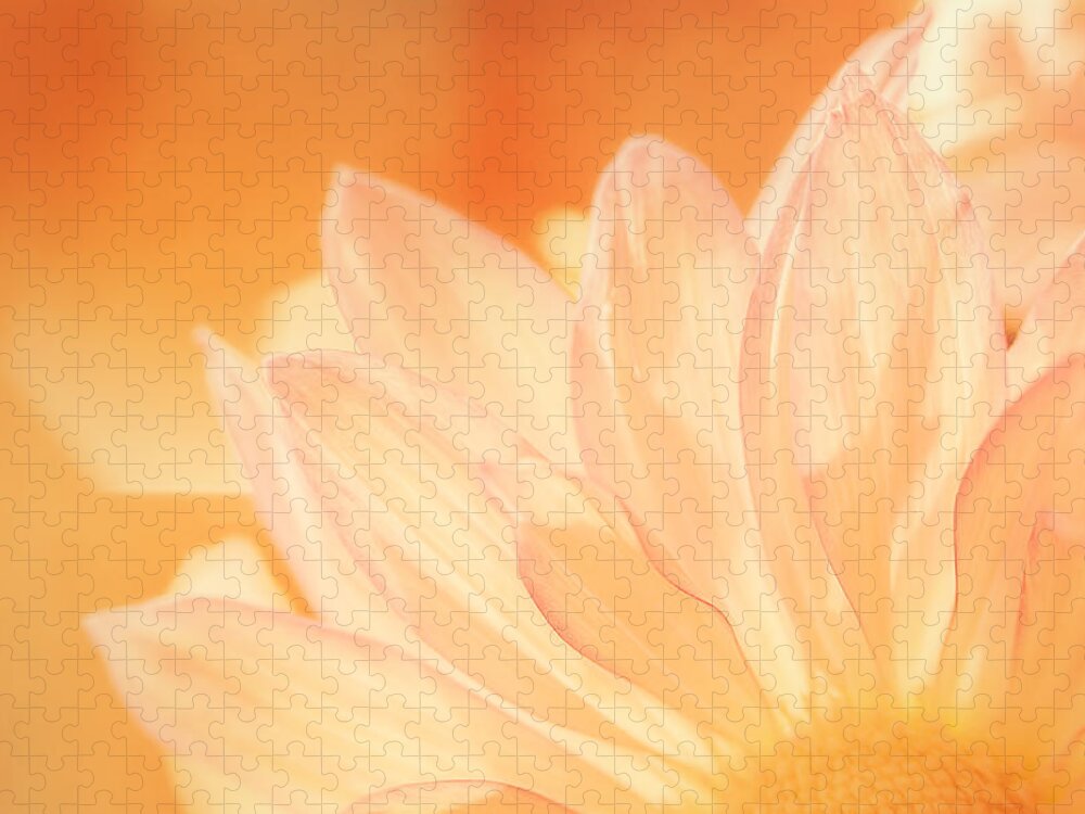 Flower Jigsaw Puzzle featuring the photograph Sunshine by Scott Norris
