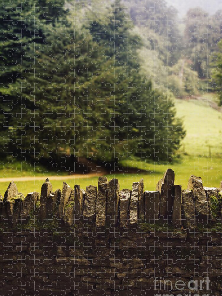 Stone Jigsaw Puzzle featuring the photograph Surrounding the Pasture by Margie Hurwich