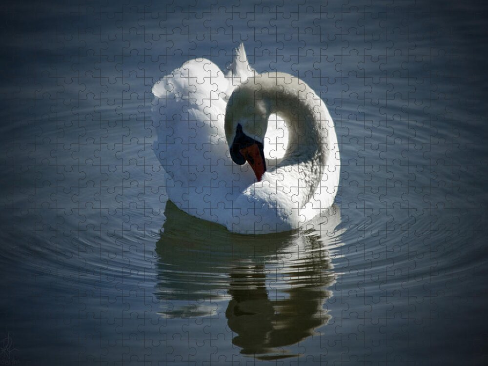 Swan Jigsaw Puzzle featuring the photograph Swan Lake by Pennie McCracken