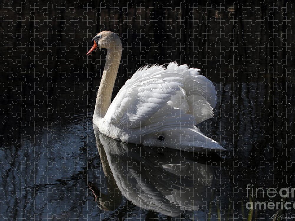 Swan Jigsaw Puzzle featuring the photograph Swan with Reflection by Eleanor Abramson