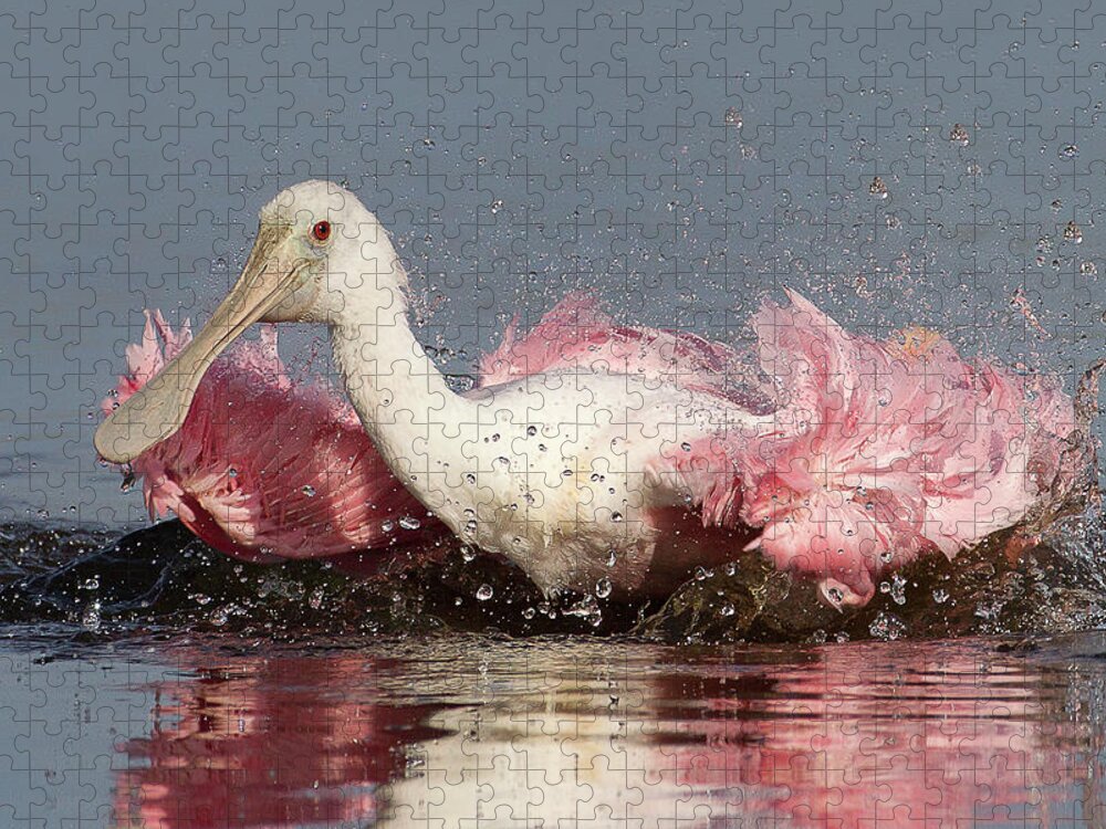 Animal Themes Jigsaw Puzzle featuring the photograph Taking A Bath by Betty Wiley