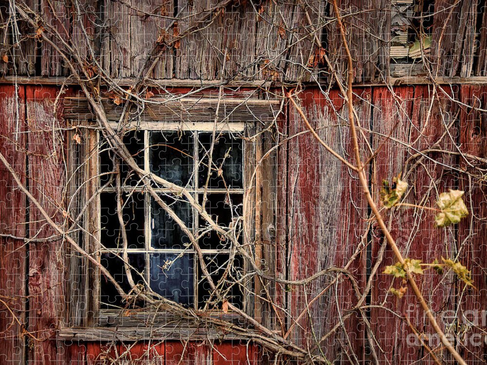 Barn Jigsaw Puzzle featuring the photograph Tangled Up In Time by Lois Bryan