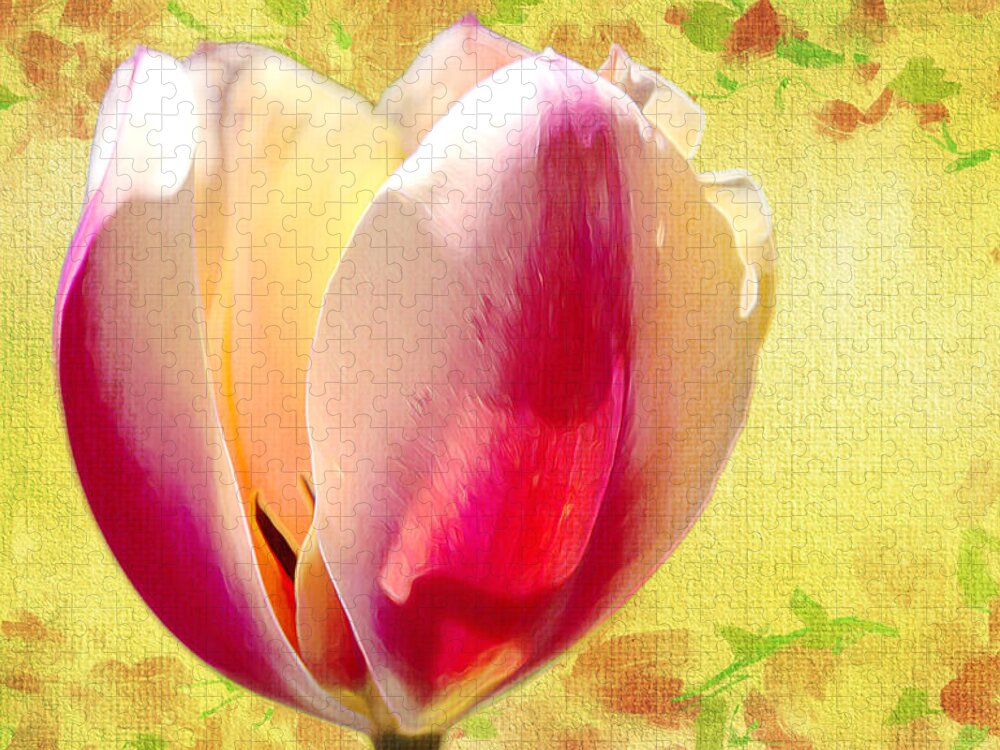Flower Jigsaw Puzzle featuring the photograph Tawny Cream Tulip by Bill and Linda Tiepelman