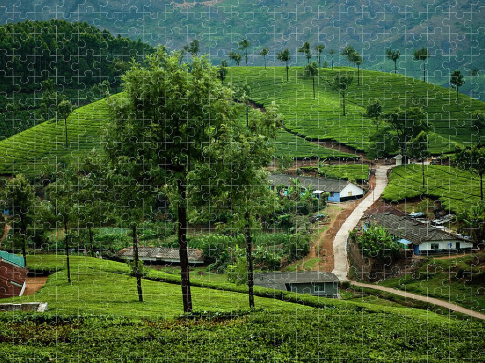 Tranquility Jigsaw Puzzle featuring the photograph Tea Pickers Village Near Munnar by Ania Blazejewska