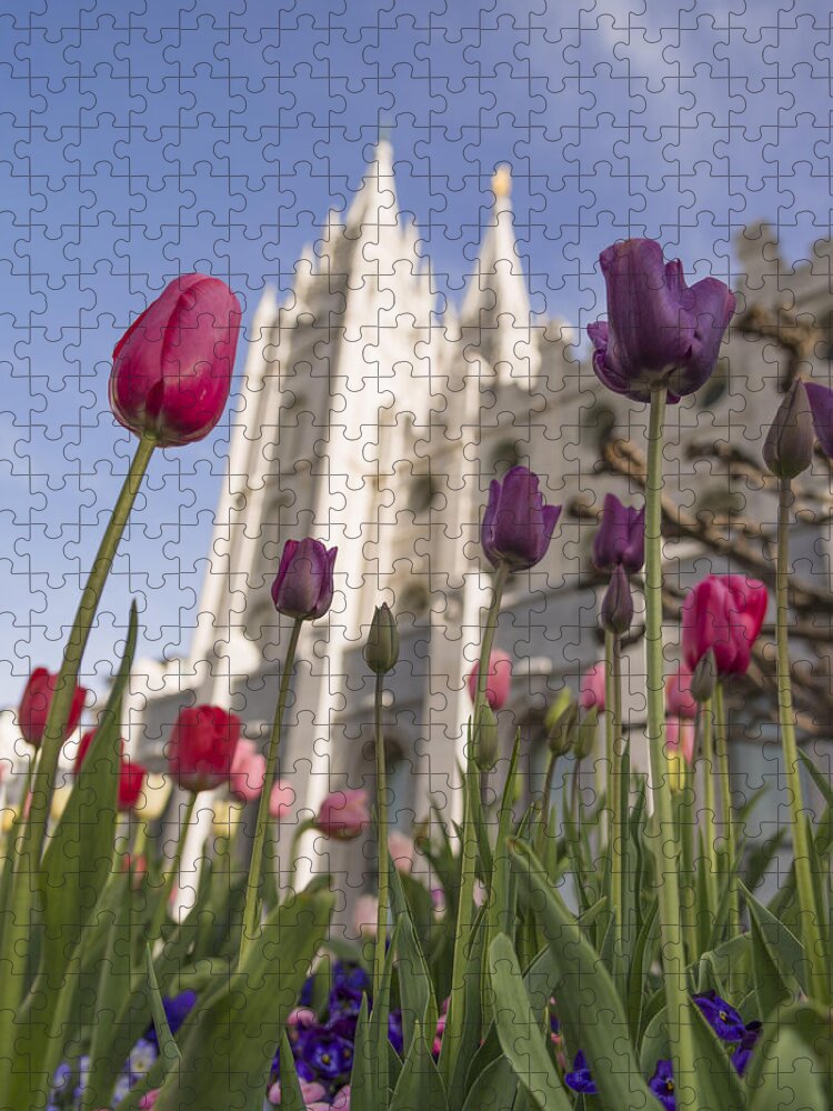 Temple Tulips Jigsaw Puzzle featuring the photograph Temple Tulips by Chad Dutson