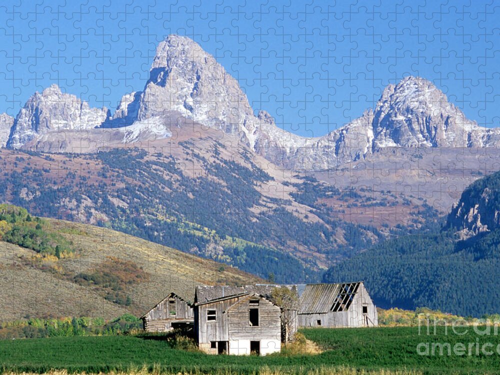Tetons Jigsaw Puzzle featuring the photograph Teton Mountains by William H. Mullins