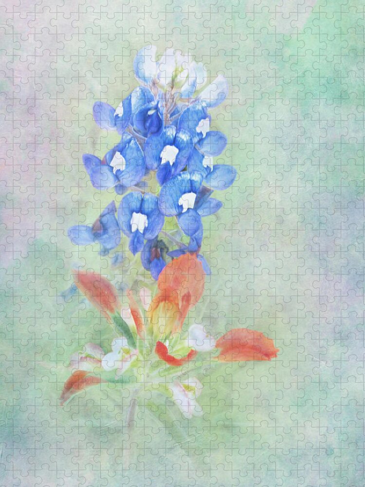 Bloom Jigsaw Puzzle featuring the photograph Texas Bluebonnet and Indian Paintbrush by David and Carol Kelly