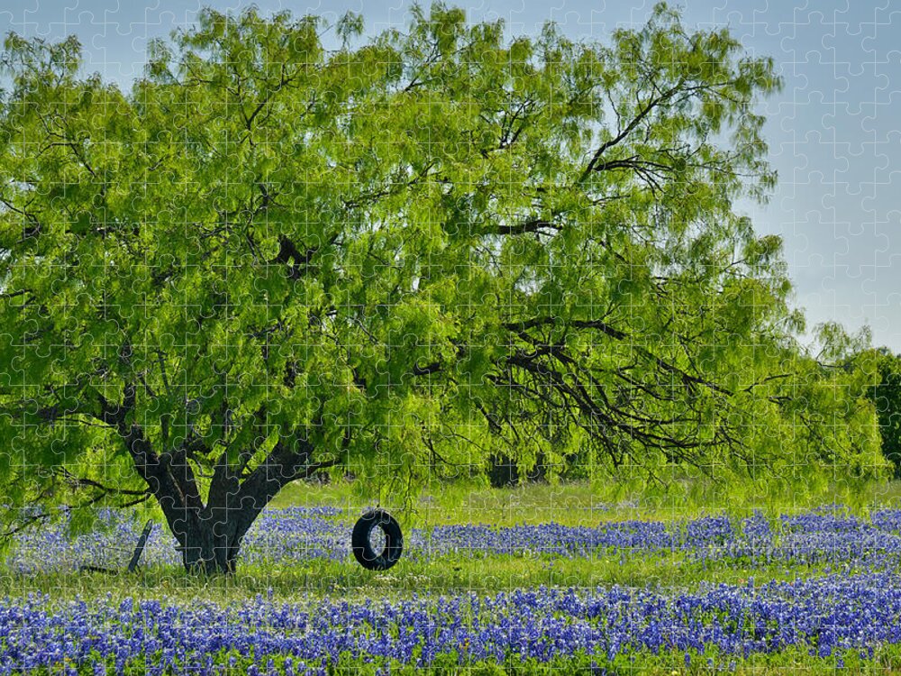Texas Bluebonnets Jigsaw Puzzle featuring the photograph Texas Life - Bluebonnet Wildflowers landscape tire swing by Jon Holiday