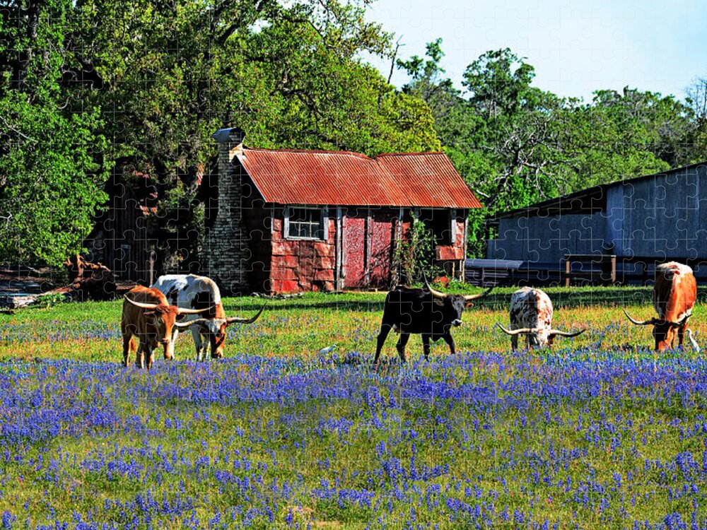 Longhorn Jigsaw Puzzle featuring the photograph Texas Longhorns in Bluebonnets by Lynn Bauer