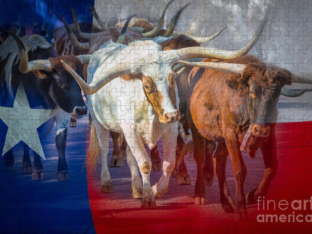 America Jigsaw Puzzle featuring the photograph Texas Longhorns by Inge Johnsson