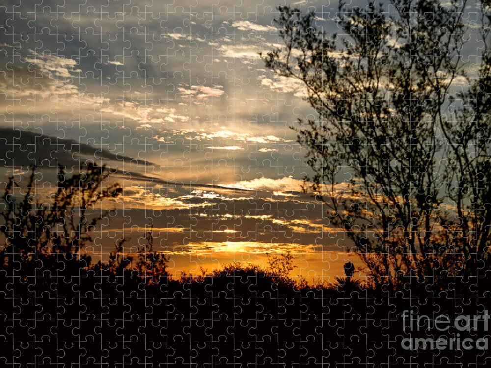 Texas Sunrise Jigsaw Puzzle featuring the photograph Texas Sunrise by Betty Depee