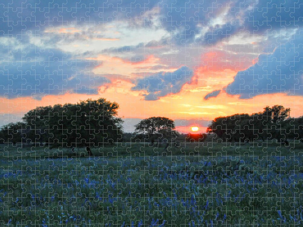 Wildflowers Jigsaw Puzzle featuring the photograph Texas Wildflower Sunset by Lynn Bauer
