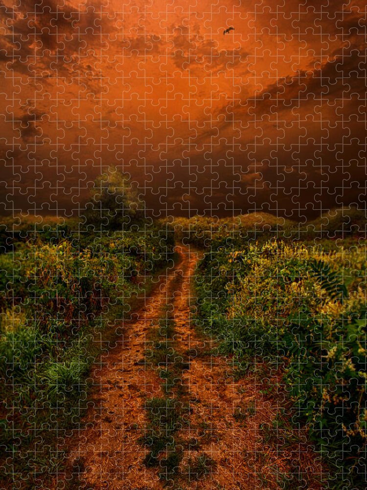 Path Jigsaw Puzzle featuring the photograph That We May Know Our Way by Phil Koch