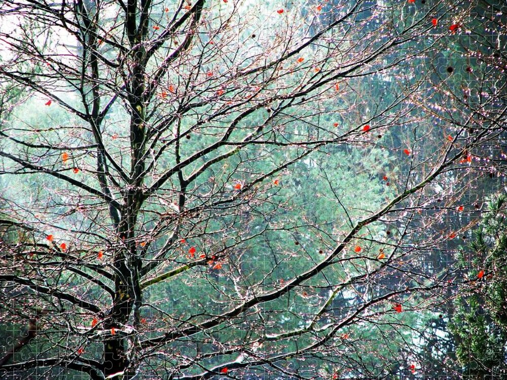 Trees Jigsaw Puzzle featuring the photograph The Aura Of Trees by Angela Davies