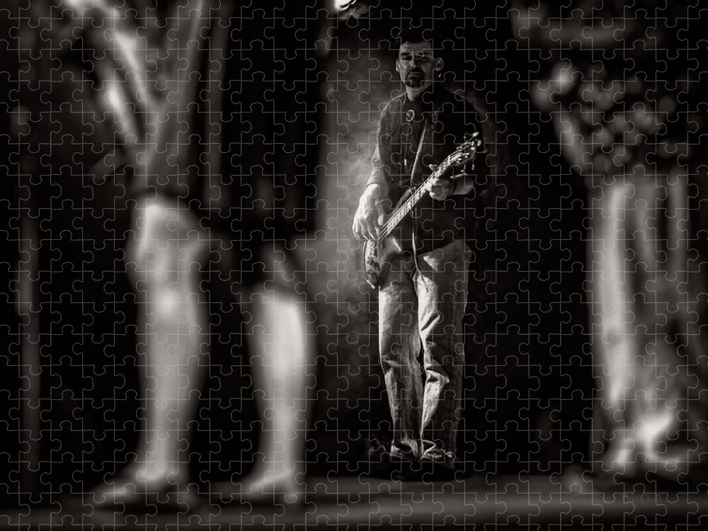 Bass Jigsaw Puzzle featuring the photograph The Bassist by Bob Orsillo