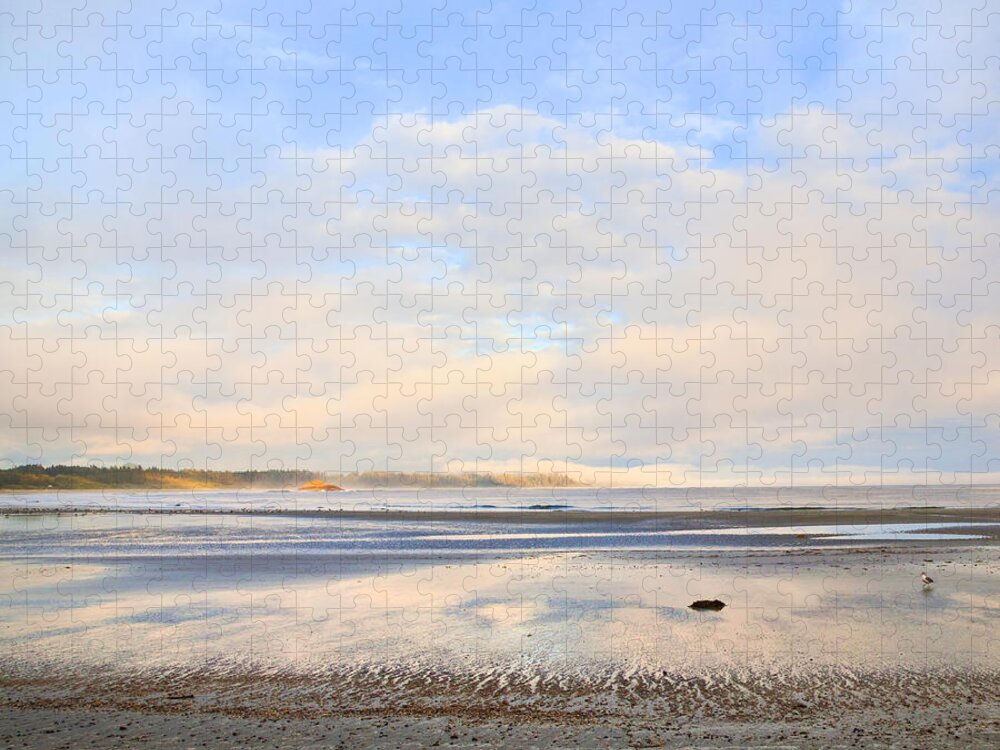 Beach Jigsaw Puzzle featuring the photograph The Beach At Tofino by Theresa Tahara