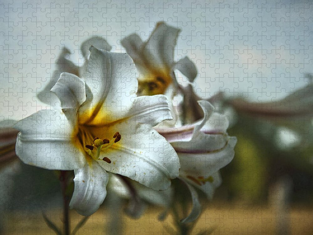 Easter Lilies Jigsaw Puzzle featuring the photograph The Calling by Belinda Greb