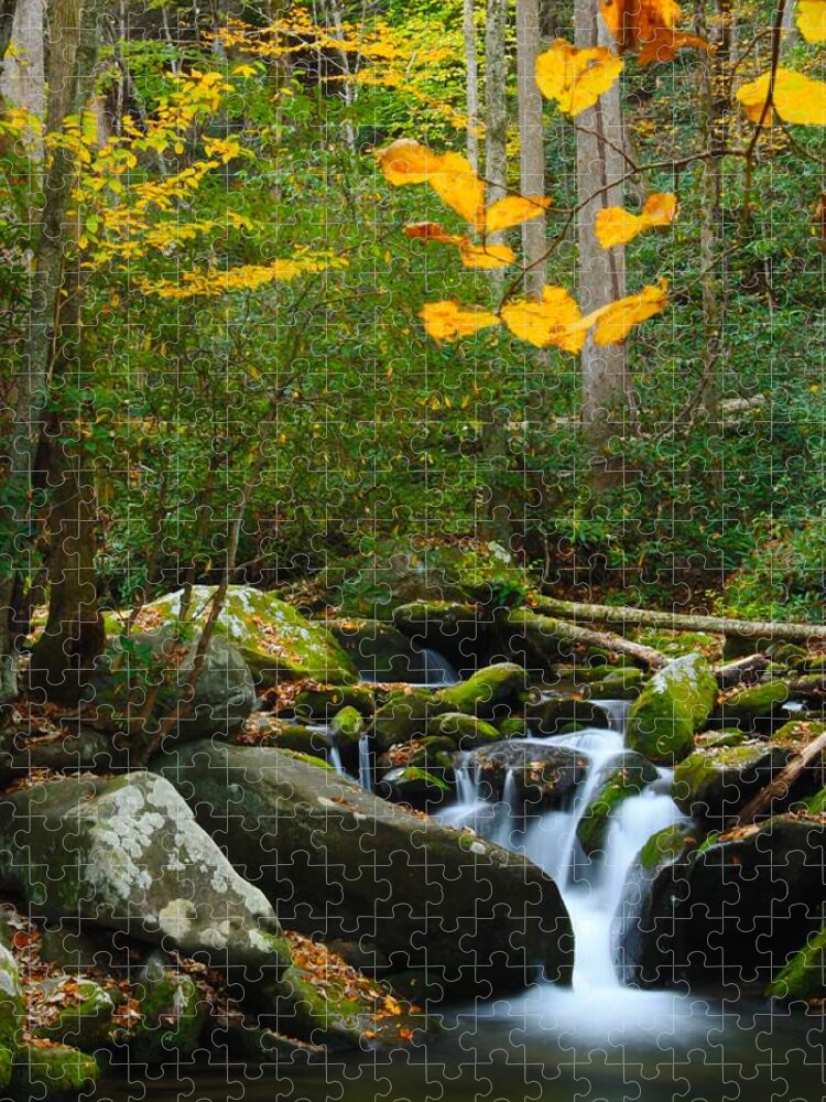 Nunweiler Jigsaw Puzzle featuring the photograph The Colors of Autumn by Nunweiler Photography
