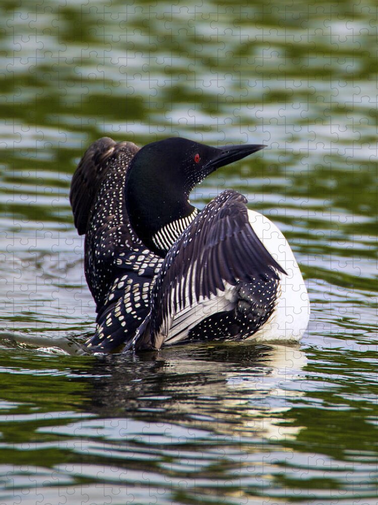 Bird Jigsaw Puzzle featuring the photograph The Common Loon by Bill and Linda Tiepelman