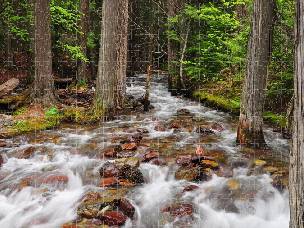 Creek Jigsaw Puzzle featuring the photograph The Creek - Glacier National Park - Montana by Bruce Friedman
