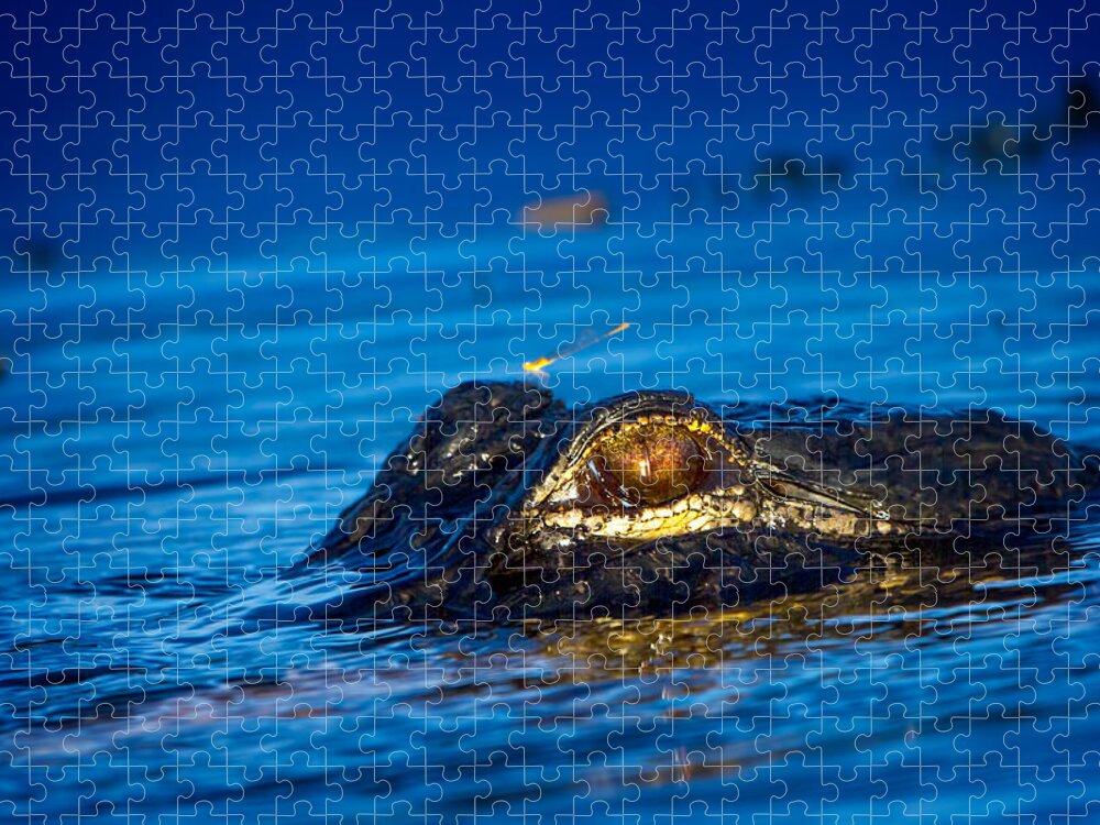 Alligator Jigsaw Puzzle featuring the photograph The Dragon And The Dragonfly II by Mark Andrew Thomas