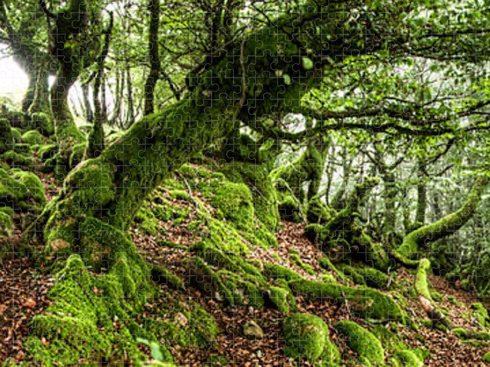 Forest Jigsaw Puzzle featuring the photograph The Elven forest No2 Wide by Weston Westmoreland