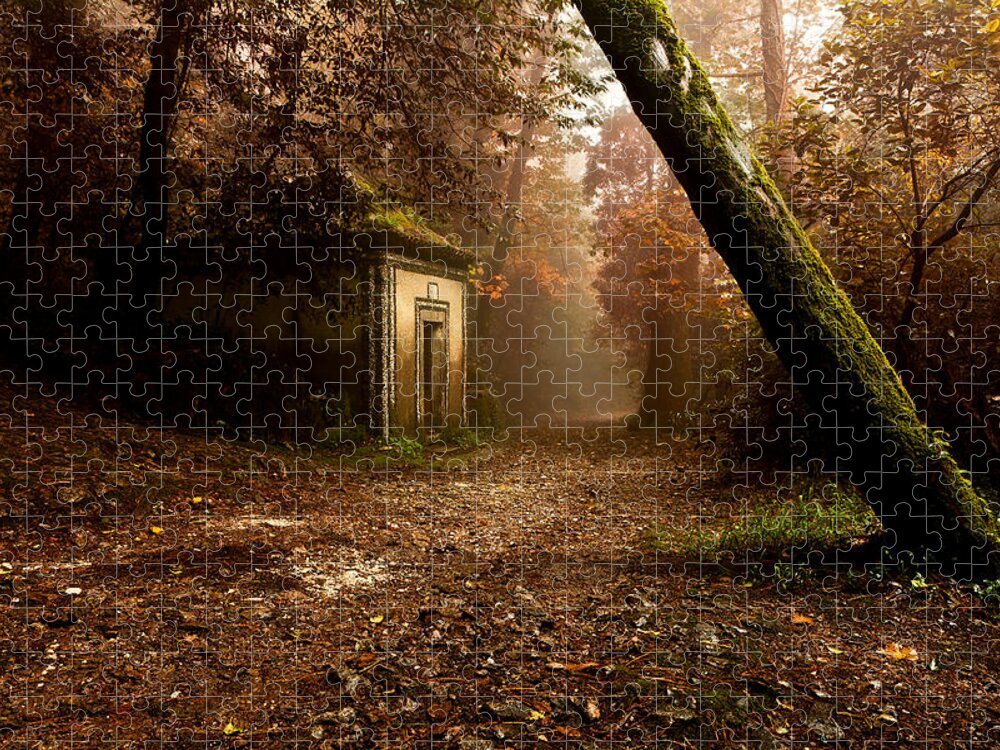 Mood Jigsaw Puzzle featuring the photograph The enchanted trail by Jorge Maia