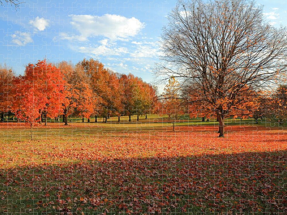 Trees Jigsaw Puzzle featuring the photograph The End of Autumn in Francis Park by Scott Rackers