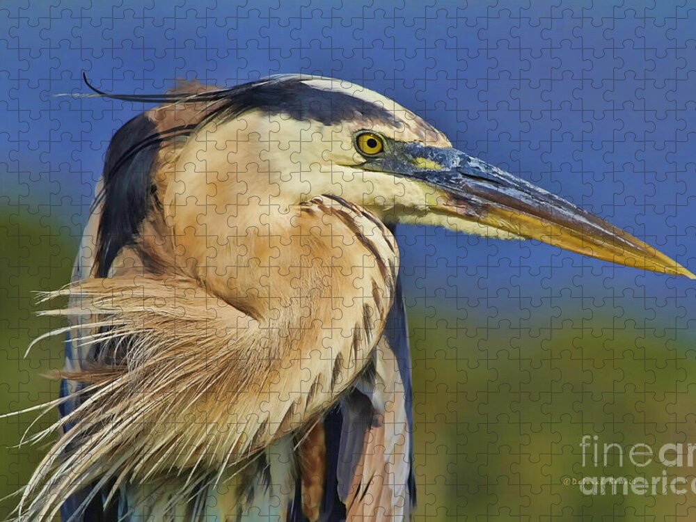 Blue Heron Jigsaw Puzzle featuring the photograph The Eye of Blue by Deborah Benoit