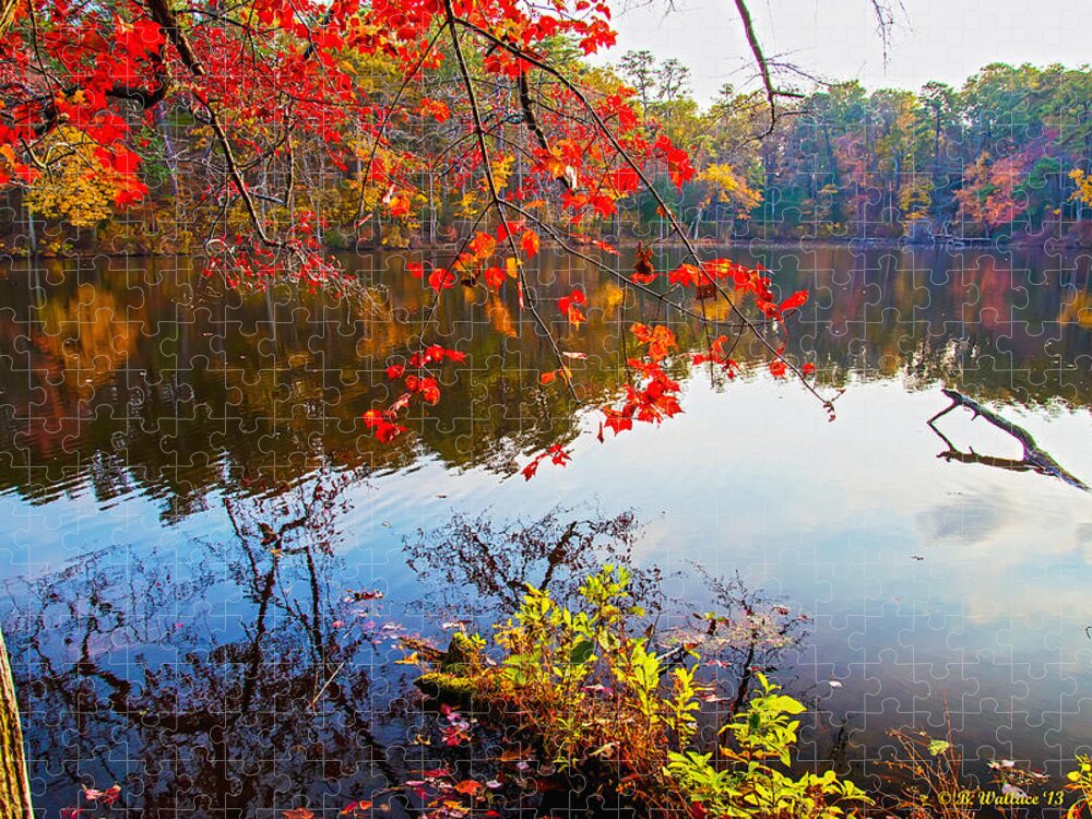 2d Jigsaw Puzzle featuring the photograph The Fall Season by Brian Wallace