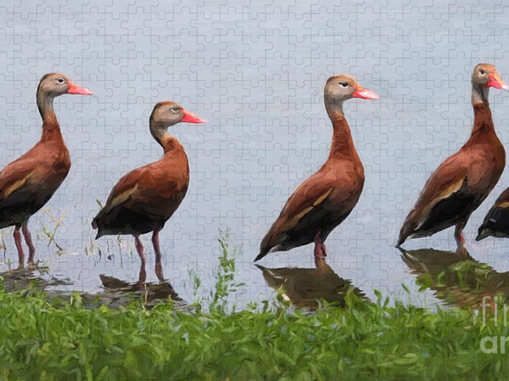 Black-bellied Whistling Ducks Jigsaw Puzzle featuring the digital art The Gathering by Jayne Carney