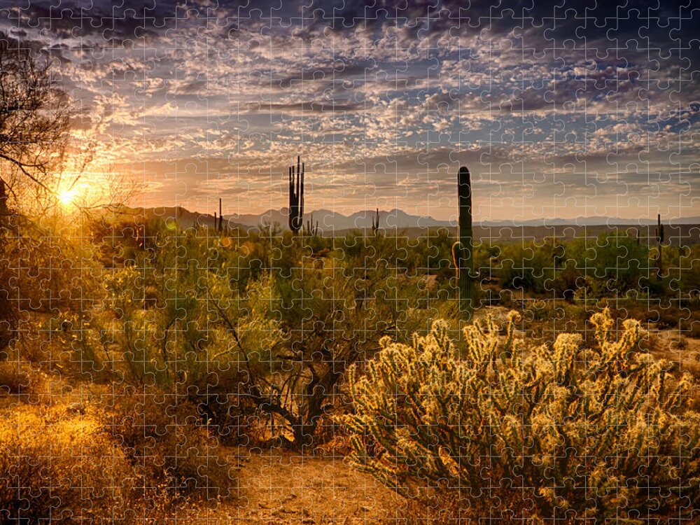 Sunset Jigsaw Puzzle featuring the photograph The Golden Southwest by Saija Lehtonen