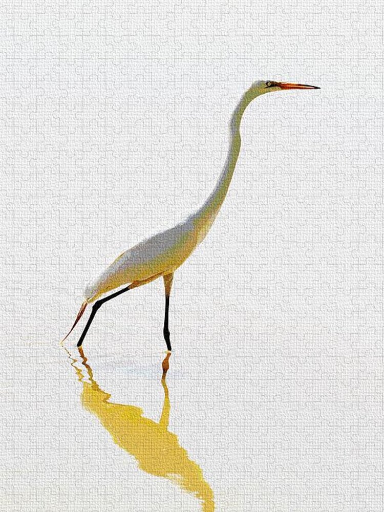 The Greater Egret With Style Jigsaw Puzzle featuring the photograph The Greater Egret With Style by Tom Janca