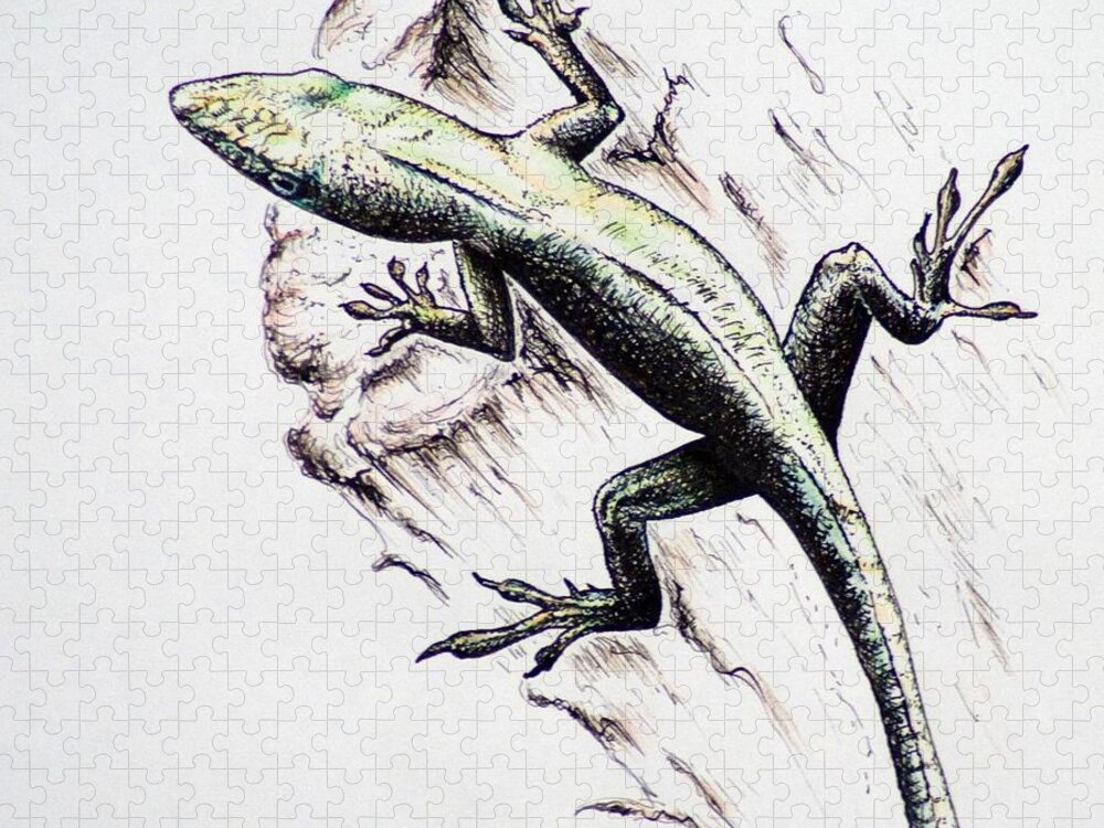 Ink Sketch Jigsaw Puzzle featuring the drawing The green Lizard by Katharina Bruenen