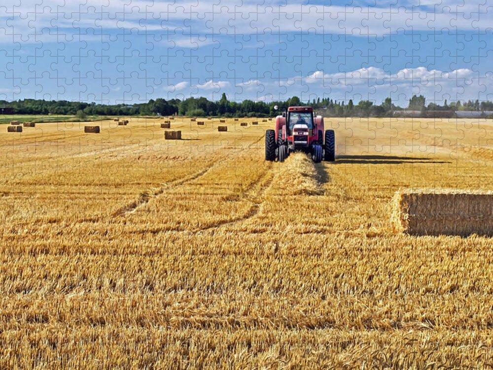 Landscape Jigsaw Puzzle featuring the photograph The Harvest by Keith Armstrong