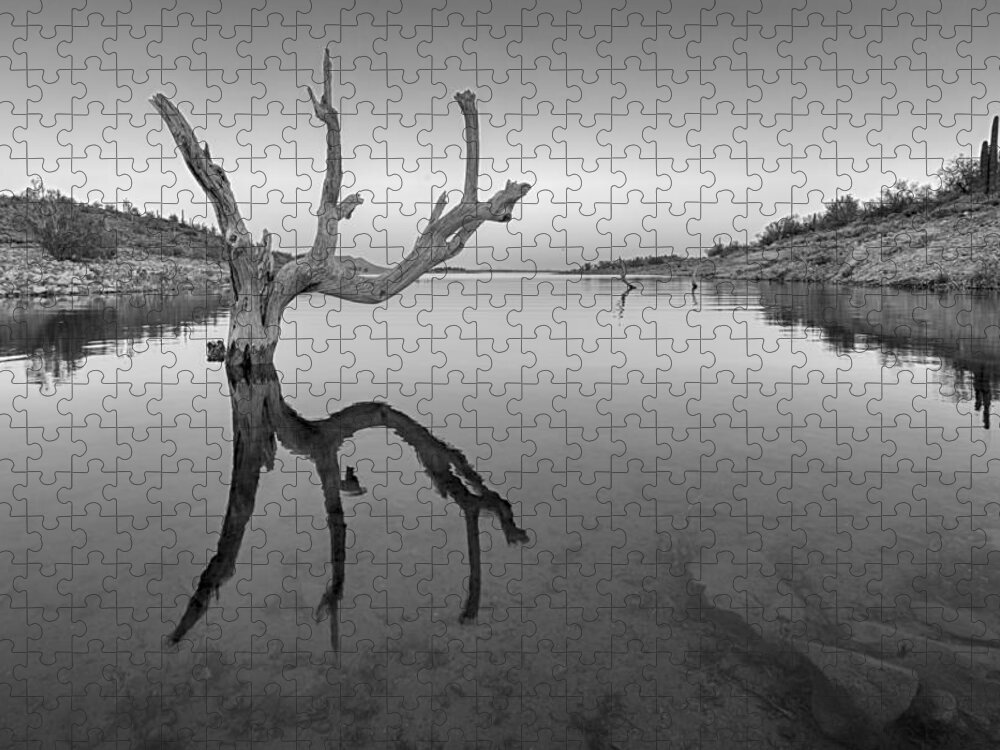 Arizona Jigsaw Puzzle featuring the photograph The Kings Hand 1 Black and White by Scott Campbell