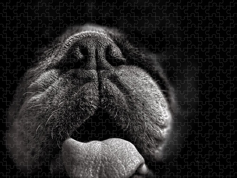 Dog Jigsaw Puzzle featuring the photograph The Nose Knows by Bob Orsillo