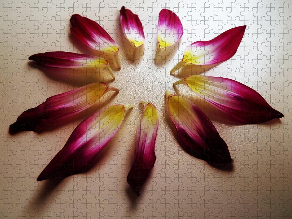 Petals Jigsaw Puzzle featuring the photograph The Petal Cake by Steve Taylor