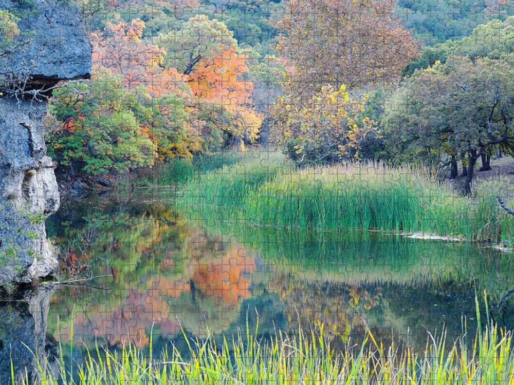 Lost Maples Jigsaw Puzzle featuring the photograph The Pond at Lost Maples State Natural Area - Texas Hill Country by Silvio Ligutti