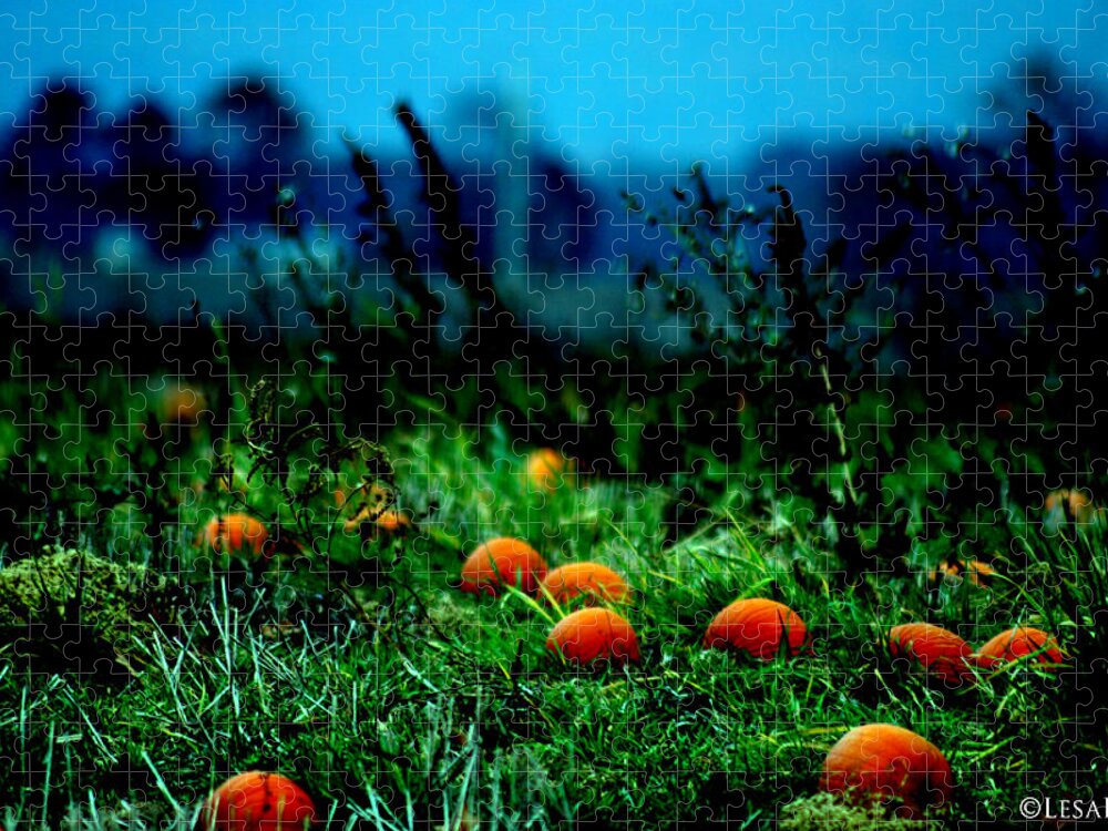 Pumkins Jigsaw Puzzle featuring the photograph The Pumpkin Patch by Lesa Fine