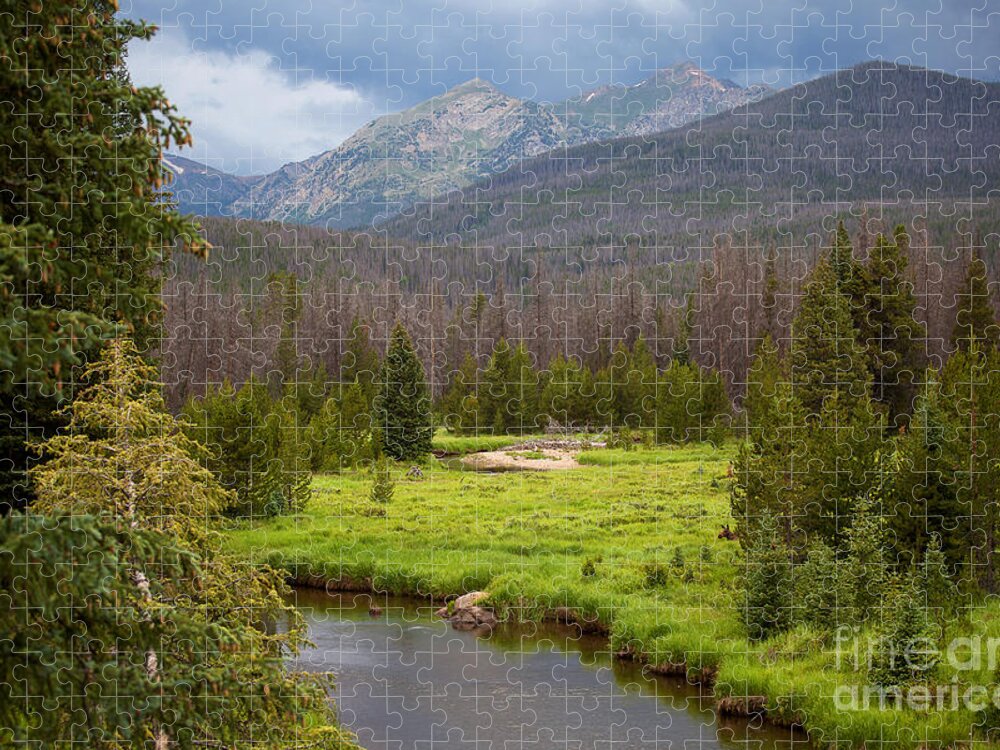 Rocky Mountain National Park Photograph; Moose Landscape Photograph; Moose Photograph; River Photograph; Stream Photograph; Jigsaw Puzzle featuring the photograph The Rain Must Fall by Jim Garrison
