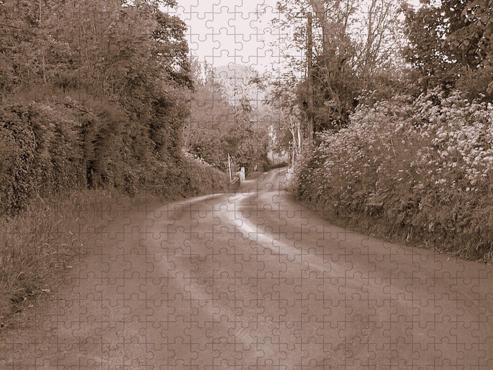 Road Jigsaw Puzzle featuring the photograph The Road Most Taken by Lisa Blake