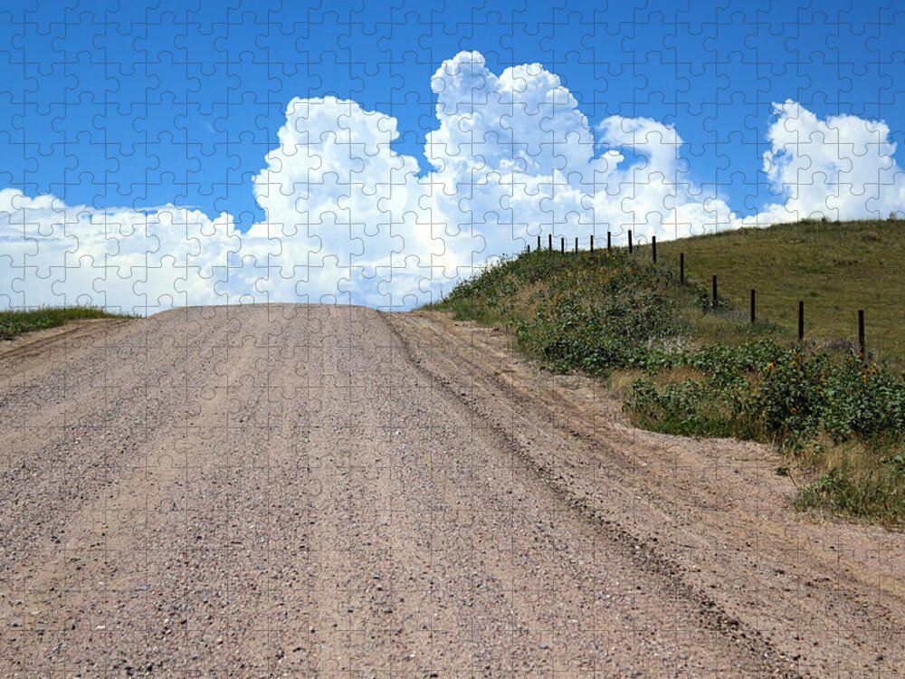 Road Jigsaw Puzzle featuring the photograph The Road To Nowhere by Shane Bechler